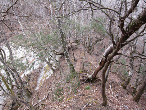 20200110hike (195)